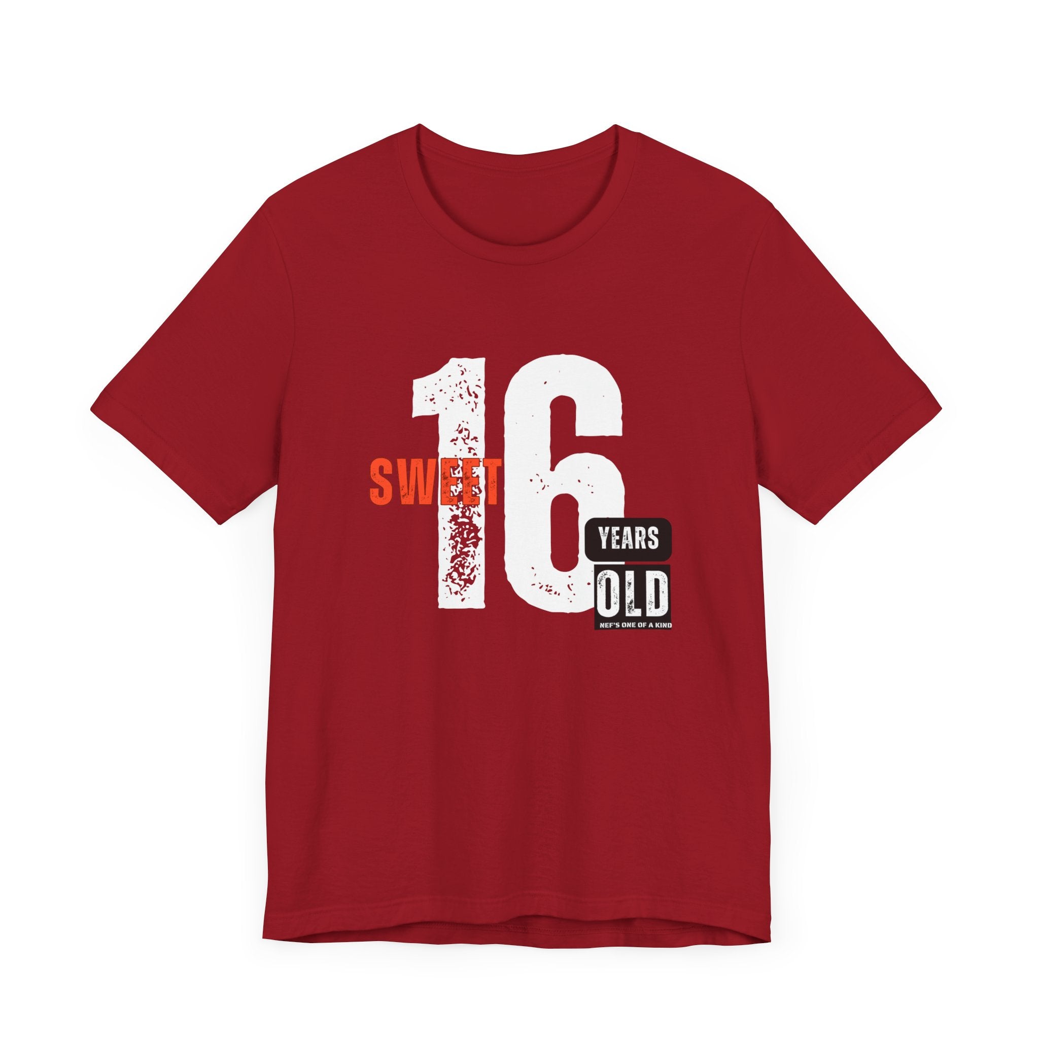 16year Old Unisex Adult Tee